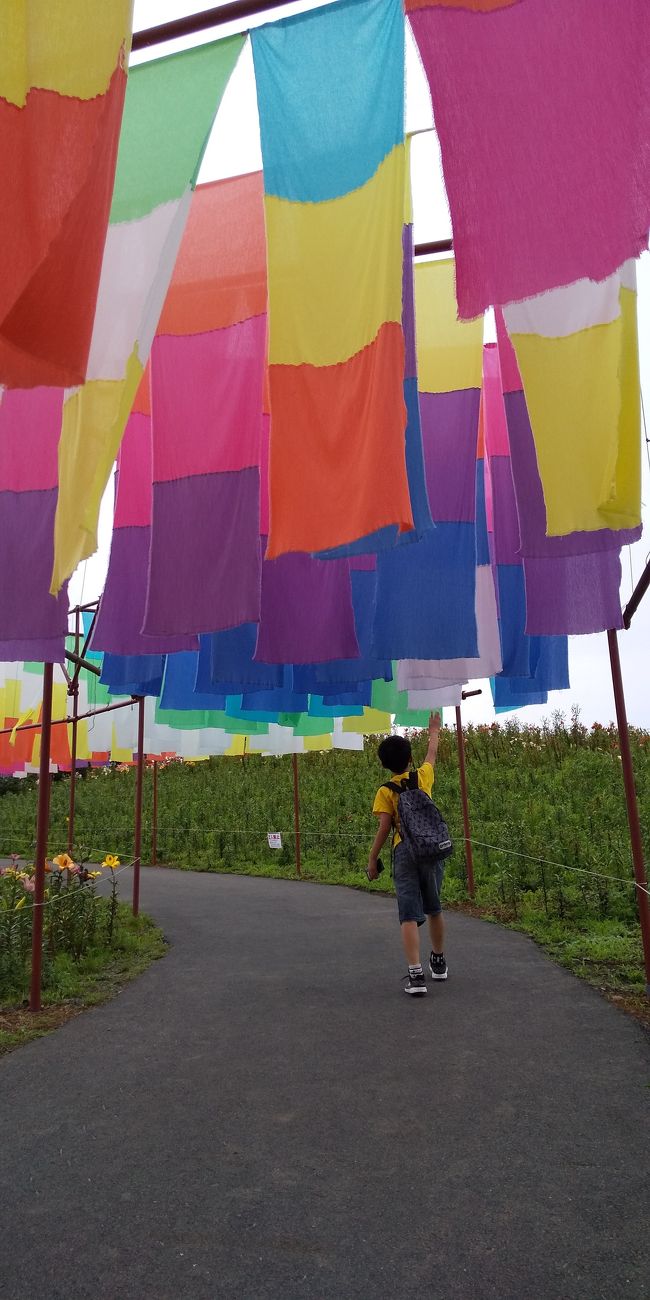 日帰りでスキー場に夏期開かれている、ゆり園に行って来ました。<br />グルメ面でも大満足&#10071;️