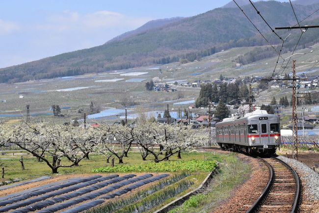 北信州山ノ内町には、樹齢数百年にもなる名木・古木の「宇木の古代桜」があります。<br /><br />高井富士とよばれる高社山（こうしゃさん）の裾野に宇木（うき）地区があり、りんごやぶどうを栽培する果樹畑が広がり、古代桜が点在しています。<br /><br />古代桜は５本あり、本堂の傍らに佇む「隆谷寺のしだれ桜」、高台で見守る「大久保のしだれ桜」、長野県一・二のエドヒガンの巨木「宇木の千歳桜」、美しい枝ぶりの「大日庵の源平しだれ桜」、「区民会館前しだれ桜」等が、春になると見事に咲き誇ります。<br /><br />今日は湯田中から長野電鉄に乗り、最寄り駅の夜間瀬（よませ）で降り「古代桜を歩いて巡るコース」（1周約65分、約4.2km）を訪れます。<br /><br />なお、旅行記は下記資料を参考にしました。<br />・宇木古代桜ふるさと事業実行委員会「北信州山ノ内町 宇木の古代桜」<br />・たびネット信州「宇木の古代桜」<br />・現地古木の説明版<br />・駅からマンホール「信州北回廊・山ノ内、桜めぐり ～ 長野県山ノ内町」<br />・家紋ドットネット「三つ星に一つ引き」<br />・丸山製作所「ステレオスプレヤー」<br />・HETIMA.NET「火の見櫓図鑑」<br />・信州なかの産業観光公社「真弓川沿いの桜並木」<br />・いけいけすざか「村山権現さんの桜」<br />・ウィキペディア「長野電鉄」「帝都高速度交通営団」「夜間瀬駅」<br />