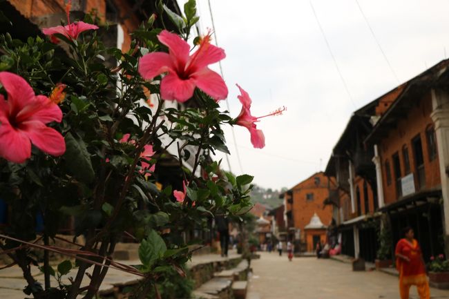 今回の旅の目的の一つが「交通が不便な、何もない村で一泊する」。カトマンドゥから西方面のバンディプルへ。その後、ヒマラヤに近い街ポカラへ向かいました。<br />～～～～～☆～～～～～☆～～～～～☆～～～～～<br />ネパールでは、心に染み入る美しい光景や風景に出会い、感動の連続でした(^^♪　相変わらずのハードな男旅です。<br /><br />4月11日　成田空港→（マレーシア航空）　★機内泊<br />4月12日　→クアラルンプール空港（KL1A)着　クアラルンプール観光　KL1A→カトマンドゥ（マレーシア航空）★カトマンドゥ泊<br />4月13日　ボウダナート参拝　バクタプル散策＆お祭り見学　★バクタプル泊<br />4月14日　バクタプル散策&amp;新年の行事見学　スワヤンブナート参拝＆カトマンドゥ散策　★カトマンドゥ泊<br />4月15日　小さな村バンディプル散策　★バンディプル泊<br />4月16日　ポカラ・レイクサイド散策　★ポカラ泊<br />4月17日　ダンプス周辺ミニトレッキング　ポカラ・レイクサイド散策　★ポカラ泊<br />4月18日　ポカラ・ダムサイド散策　ポカラ→カトマンドゥ（イェティ航空）カトマンドゥ散策　★カトマンドゥ泊<br />4月19日　カトマンドゥ散策　カトマンドゥ空港→（マレーシア航空）★機内泊<br />4月20日　→KL1A空港　マラッカ観光　KL1A空港→（マレーシア航空）★機内泊<br />4月21日　→成田空港