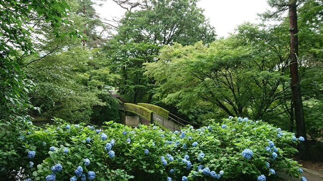 吹割の滝が見たいと夫が言い出したので、早速、7月の連休を利用して行くことを計画。<br /><br />本当は、群馬なら、日帰りで行ける距離。<br />天気が良い日に行くに越したことはないのですが、<br />群馬に行くなら、私も、テレビ(帰れマンデー)で見て気になっていた赤城神社や覚滿淵に行ってみたいし・・<br />ということで、1泊することにしました。<br /><br />宿泊は、老神温泉と考えていたのですが、<br />希望していたホテルが、ちょっとの差で満室になってしまい、<br />やむなく、近辺のホテルを探して、猿ヶ京温泉で良さそうな所を見つけてはみたのですが、<br />夫はどうも気に入らない様子。<br /><br />結局、ホタルが見られるかもしれないという理由で、<br />たくみの里のペンションに決定。<br />旅行を楽しみにしていたのですが、梅雨明けが微妙な7月の中旬、<br />お天気はどうかな~と心配していた通り、<br />しっかり梅雨空の中の旅となってしまいました。<br /><br />では、1日目です。