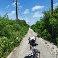 津堅島でショートバカンス