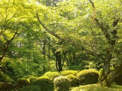 愛知県森林公園 植物園 植樹祭記念