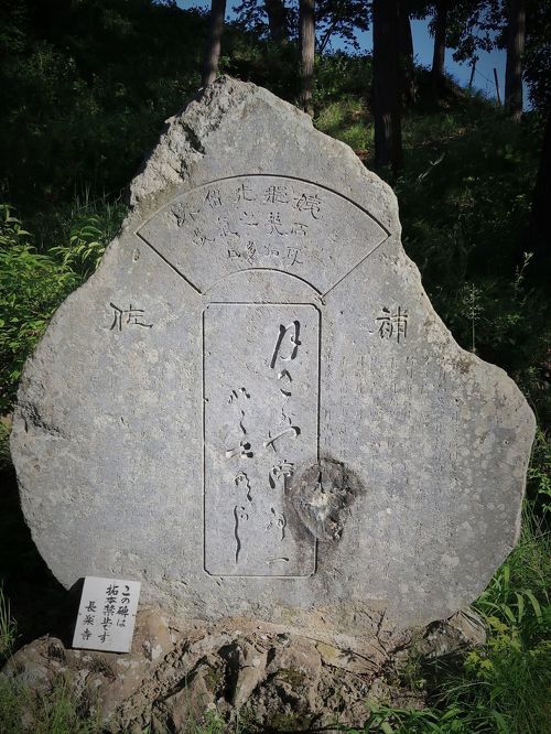 【中古】 白い崖 句集/文芸社/長嶺千晶 Amazon.co.jp: 長嶺 千晶: 本