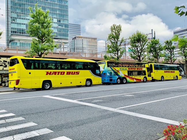 息子２回目の東京母子旅行、２日目<br /><br />東京には妹が住んでいるのでいつも宿泊料無料、なんと子守りつきの最高にお得なプランです(≧∇≦)<br /><br />子連れなのでゆる～い計画で<br /><br />１日目---東京駅ではやぶさこまちなど電車見学<br />２日目---しまじろう英語コンサート&amp;はとバスツアー<br />３日目---はやぶさに乗るぞ！ &amp;新宿駅で電車見学<br />４日目---ディズニーシー<br />５日目---帰宅<br /><br />こんな感じで楽しんできました♪♪<br /><br /><br />２日目の今日は初めてのしまじろう英語コンサート！！<br />１時間ちょっとある公演、飽きずに最後まで見られるでしょうか。<br /><br />コンサートが終わったら、大好きなはとバスに乗ります^^<br />今日もほぼ息子のための１日（笑）<br />と思いきや大人も中々楽しめました♪