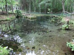 北海道道東の旅②裏摩周～名水の里(来運公園)～知床温泉まで(作成中)