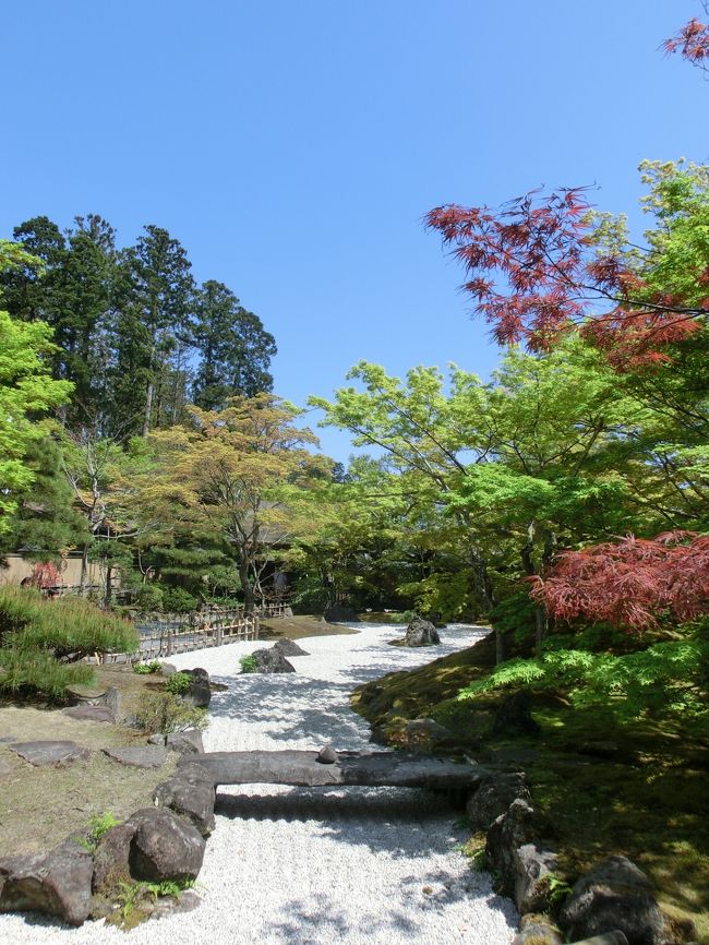 福浦橋の後は、”瑞巌寺”と”円通院”へと行ってみました！<br />