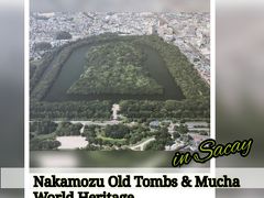 世界遺産 仁徳天皇陵とその周辺散策　2019年 7月