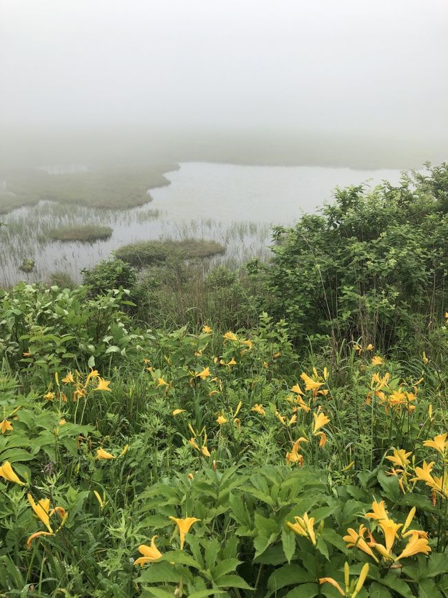 19 7 信州 霧雨の八島湿原 天然酵母パンむく堂 美味しい蕎麦の花ちゃん 中軽井沢かぎもとや 白樺湖 蓼科 車山 長野県 の旅行記 ブログ By 腹ヴェリ子さん フォートラベル
