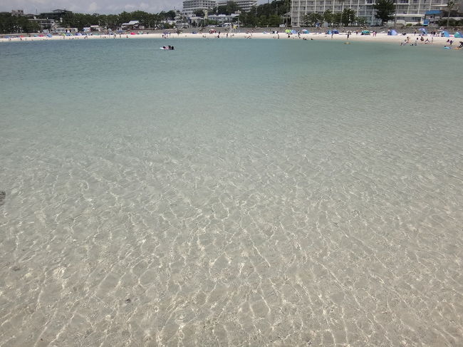 前泊で和歌山市、その後3泊で南紀白浜へ行ってきました。