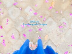 2019.04 魅惑の離島★Lembongan/Cenigan/Penida trip　３　［レンボンガン+チュニガン編］