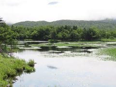 北海道道東の旅③知床ウトロ温泉～プュニ岬～知床五湖展望台・高架木道散策