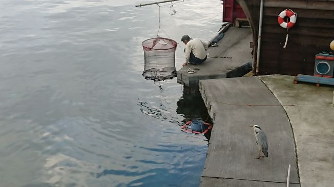 心の故郷<br /><br />伊根に再び来る事ができました<br /><br />天気予報は梅雨真っ只中、予定日3日間全て雨<br /><br />１週間前から50回ぐらいチェックしても雨(笑)<br /><br /><br />今回ばかりは、雨だとあきらめていました<br /><br />が………またやってくれました