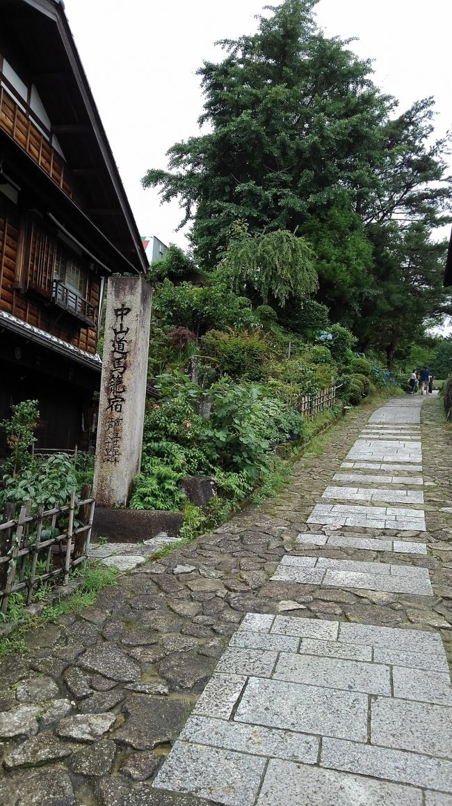 梅雨明けないなあ。<br />岐阜に行ってみようと思って計画してみると、交通手段は名古屋発着が便利でした。ということで、今回は岐阜周辺を巡る旅です。