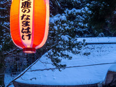 秋田冬旅01 : 大雪警報発令で行きの飛行機欠航…( iдi ) ドタバタスタートで男鹿に行く