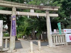 鳩森神社　開運山開き