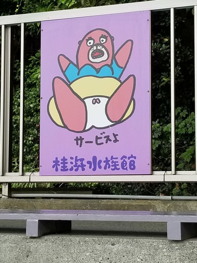 三泊四日で四国一周したよ!ペーパードライバーだから飛行機✈️とバス🚌と電車🚃移動!所々でお酒を飲んだりの気ままな旅行記、よかったら読んでください~🍺