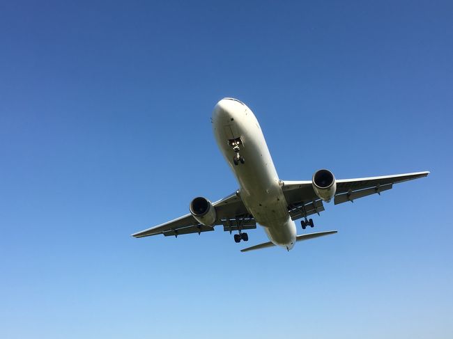 関東圏から日帰りで行く弾丸旅<br /><br />飛行機と空港が好きなので(機体には詳しくないですが…)、乗ったことのないスカイマークに乗ること、初めての神戸空港を見て回ること、異人館街を散歩後、飛行機好きの聖地、千里川土手で着陸機を堪能する旅を企画してみました。<br /><br />【行程】<br />羽田空港→神戸空港→三宮→曽根駅→千里川土手→伊丹空港→羽田空港<br /><br />【費用】交通費のみ<br />往路 スカイマーク いま得 7,090円<br />復路 JAL 特典航空券 5000マイル使用<br />ポートライナー 330円<br />阪急 370円<br />伊丹空港行バス 210円