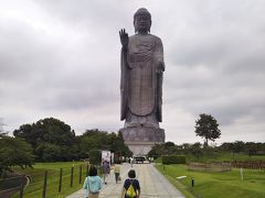 茶の木村園で日光天然氷のかき氷と青銅製立像で高さ世界一ギネス認定の牛久大仏