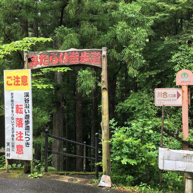 久しぶりの奈良。みたらい渓谷で森林浴と洞川温泉でまったりプラン。の筈が、想定外にハードな内容となりました。