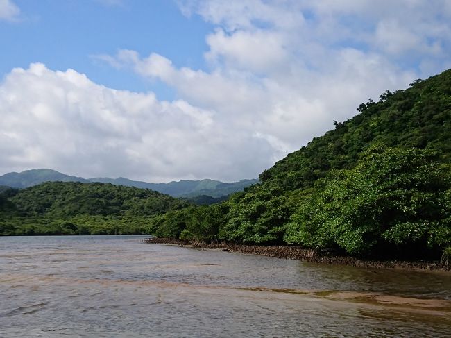 さぁ、今年も南の島へ行くぞー。<br /><br />長年かけて、地味～に八重山諸島を塗りつぶしている我が家。<br />今年は、西表島！<br />と去年から決めておりました。<br /><br />と、どうしても行ってみたかった、最南端の有人島、波照間島も予定に入れて、出発！！<br /><br /><br /><br /><br />