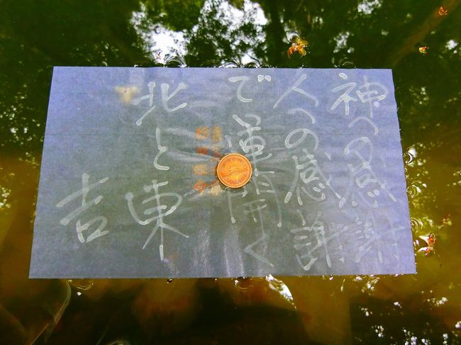 八重垣神社と神魂神社へ。<br />八重垣神社では「鏡の池の恋占い」を。表紙写真はその恋占い。<br />神魂神社の本殿は現存する日本最古の大社造りで国宝。