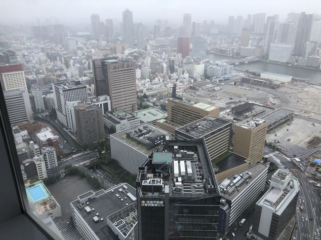 7/7<br />朝から雨が降ってます<br />次男が東京都内を案内してくれるという<br />行きたいところを聞かれたので<br />「行ってないところ・・・そうね、日本テレビ、明治神宮、できればお台場」と答えてしまった<br />年甲斐もなくミーハーだ<br />雨も降っているし、スーツケースもあるので<br />また近くにあるタイムズでレンタカーを借りてくれた<br />靖国神社→明治神宮→汐留「カレッタ汐留46Fで寿司ランチ<br />→日本テレビ→お台場・・フジテレビ→ヴィーナスフォート→東京駅