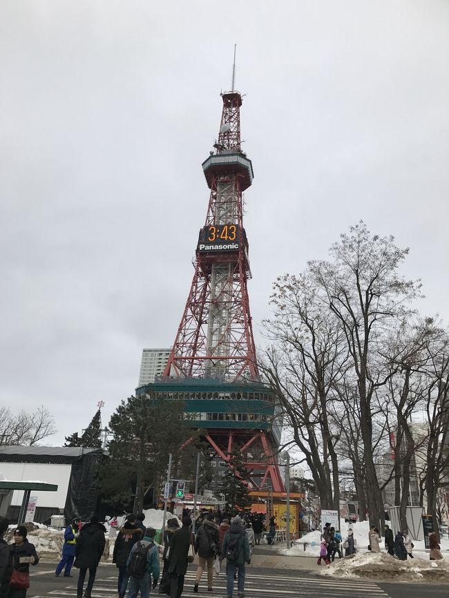 年末年始旅行で札幌に行ったのに、またまた雪まつりでサッポロに行きました。<br />たくさんの雪像があり、見飽きることもなく回りました。<br />大通りには氷雪があり、また違った雰囲気で良かった。