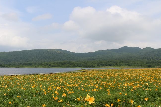 4travelの方の旅行記を見て、福島・雄国沼のニッコウキスゲの存在を知りました。<br />今年は、ここに行こうと決めていて有給を1日取得し、3日のうち1日でも晴れればと思っていました。<br />しかし天気予報はずっと曇りや雨のマーク、うーんと思っていると直前になって1日目の午後から晴れ間が出るとの予報で、前日夜に出発しようとしましたが、そういう日に限って仕事が長引きます。さらに電車も人身事故で止まって、帰宅がさらに遅くなり、疲れもあって晴れが午後からなら、前日夜出発でなくてもよいかと思い、早朝出発に切り替えました。<br />翌朝目が覚めると、当日になって天気予報が変わっていて、1日曇り、翌日が午前から晴れ、昼過ぎから曇りとなっていました。<br />福島に行くなら、朝に行ってみたい所があったので、ゆっくり休んで、休みの1日目の夜に出発しました。