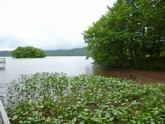 北海道　大沼