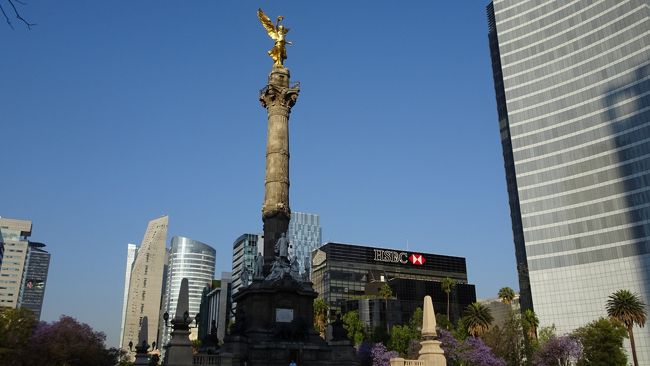 メキシコシティ観光<br />独立記念塔、ソカロ広場、メトロポリタン大聖堂、国立宮殿、テンプロ・マヨール、サントドミンゴ教会