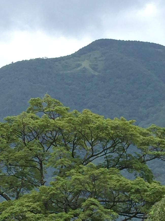 令和連休後バタバタやったけど、久しぶりに休日が合ったので、箱根でグルメ＆温泉三昧(^_^)<br /><br />小田原一夜城のYOROIZUKA FARMでランチして、その後は強羅の天翠茶寮で日帰り温泉ディナーコースでまったりと…（＾∇＾）