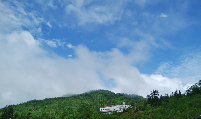 立山の弥陀ヶ原を歩いてきました。雲間に束の間の晴れた空が見えたので、撮りました。やはり、湿原は晴れていた方が気持ちが良いですね。<br />秋に再び行く予定です。次は晴れますように！