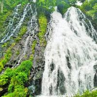 夏の北海道　娘と釧路・知床へ　２日目