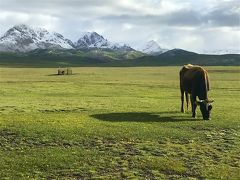 キルギスの大自然からサマルカンドの碧の世界へ、中央アジアの旅【5】遊牧民のおもてなしにウルルン！(ソンクル湖編/キルギス）