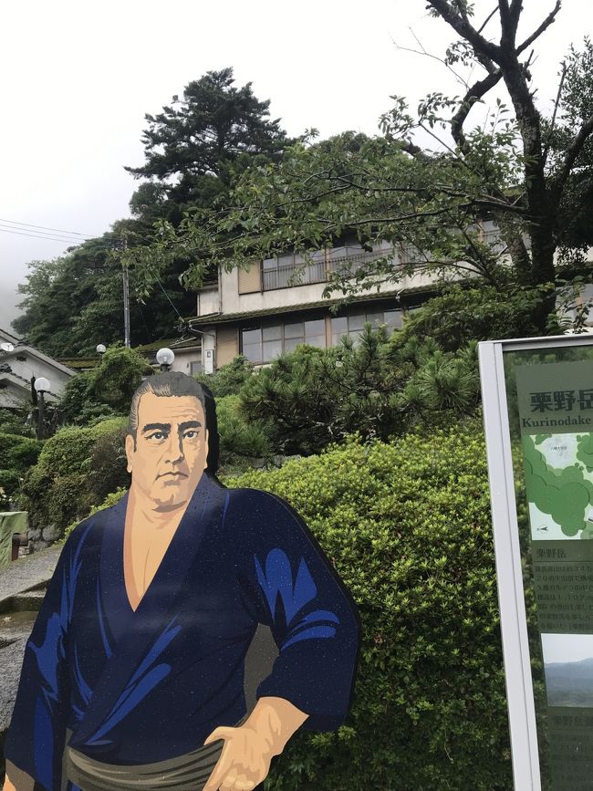 温泉の宝庫の鹿児島で、日本秘湯を守る会の温泉は3つだけ。<br />その3つをめぐる鹿児島2泊3日旅♪<br /><br />【日本秘湯を守る会の温泉】<br />1.栗野岳温泉 南洲館(日帰り)<br />2.おりはし旅館(宿泊)1人27000円くらい<br />3.吹上温泉 みどり荘(日帰り)<br /><br />【観光】<br />・霧島神宮<br />・丸尾滝<br />・明るい農村 醸造所<br />・いおワールドかごしま水族館<br />・桜島フェリー往復<br /><br />【ごはん】<br />・大安<br />・熊襲亭<br /><br />その他<br />リッチモンド鹿児島天文館(宿泊)<br />JAL<br />行 11時35分発 14時15分着<br />帰 18時40分発