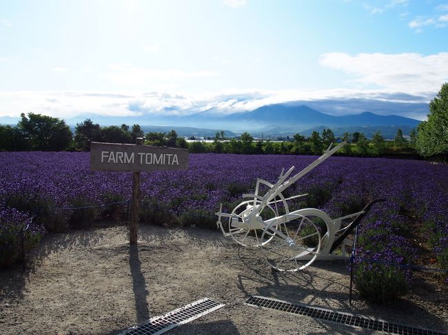 富良野ラベンダー最盛期！！<br />美しい景色を見に、夏の北海道に行ってきました。<br /><br />観光シーズンですが、なるべく混まない日をと、三連休明け・夏休み前の平日でトライ☆<br />心配していたほどの混雑でもなく、天気にも何とか恵まれて楽しんできました。<br /><br />旅程はこちら<br /><br />7/16　仙台から飛行機で新千歳空港へ<br />　　　新千歳空港からレンタカーで富良野<br />　　　富良野観光、泊<br /><br />7/17　朝早くから富良野・美瑛観光<br />　　　旭川動物園見学、泊<br /><br />7/18　旭山動物園見学<br />　　　新千歳空港から仙台へ<br /><br /><br />2日目は快晴！！ファーム富田は早朝に行くのがおすすめ☆