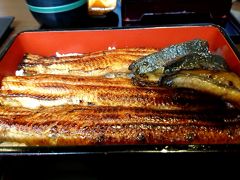 神田で、うなぎ！「きくかわ」さんで食べてきました