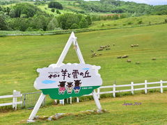 浜頓別町-枝幸町-名寄市-士別市