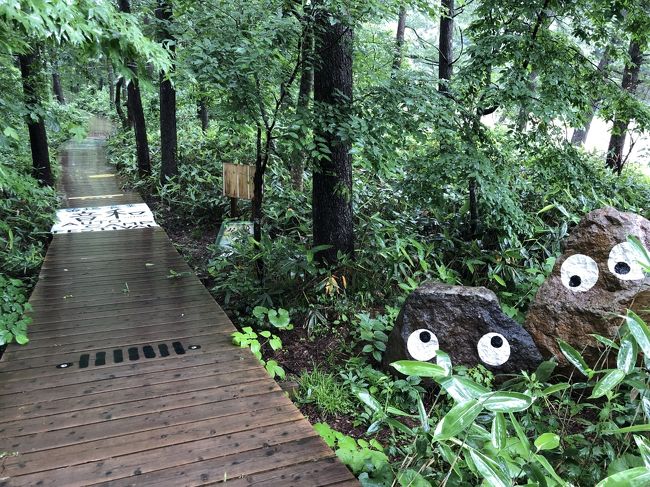 2019年7月の3連休。記録的な長さの梅雨空の下、山梨と新潟の絶景を求めて2日間掛けて巡りました。<br /><br />梅雨独特の小雨交じりの中ではありましたが、深緑に包まれてフレッシュエアーを浴びることができ、心身リフレッシュできたと思います。<br />2日間で軽自動車で899Kmも小雨の中を走りましたので、運転疲れはありますが（笑）<br /><br />第３回は、小雨降りしきる早朝の「苗場インディペンデンス・ボードウォーク」です。<br /><br />もしかしたら、と言うか、、ごめんなさい！です。。<br /><br />群馬県の道の駅「たくみの里」で車中泊し、早朝7:00に苗場に到着。目的は「苗場インディペンデンス・ボードウォーク」に行くこと。<br />そこは、FUJI ROCKが開催される場所で、長男は何度も行っていて、壊れたフェンスに足を引っかけて怪我をし、血だらけの顔面蒼白で帰宅し、ふくらはぎが通常の３倍に腫れた事件があった場所。<br />そんな場所に、美しい「苗場インディペンデンス・ボードウォーク」なるアトラクションがあると聞き、行ってみました。<br /><br />ゲートには早朝のため係の方はおられず、入り口が一部開いていました。ゲートを入って行く車もいたので、旅行三昧も後をついて入って行きました。<br /><br />「インディペンデンス・ボードウォーク」はどこ？車で彷徨っているいると「バギー」の幟が。これは違うぞ！と引き返して別の道を進んで、見つけました。<br /><br />やっとたどり着いた「インディペンデンス・ボードウォーク」の周囲には、昔のゲーム「パックマン」のモンスターのような可愛らしい石があったり、美しい白樺林があったりと、短時間且つ小雨の中ですが満足できる景色に出会うことができました。<br /><br />でも、、叱られはしませんでしたが、入って行って良かったのでしょうか。。<br /><br /><br />■【１】特別名勝の景勝地『昇仙峡』<br />　https://4travel.jp/travelogue/11516857<br />■【２】寒い！鳴沢氷穴、本降りの忍野八海、日本三大奇矯の猿橋<br />　https://4travel.jp/travelogue/11517543<br />■（本投稿）【３】入って良かった？インディペンデンス・ボードウォーク<br /><br /><br />旅旅旅-- 旅行三昧 --旅旅旅<br />