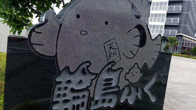 2019 7月 3連休で、能登旅です。<br />のと里山空港を使い、輪島市周辺を あっちこっち、能登の夏祭りキリコが。今日は2日目です。<br /><br />2日目:レンタカーで反時計回りで内浦(うちうら)、外浦(そとうら)。禄剛埼灯台(ろっこうさきとうだい)から折り返して、千枚田(せんまいだ)。夜はふぐ唐揚げ、美味しいお好み焼き。<br /> 天然ふぐ類漁獲量 日本一 なんだって。<br /><br />10数年前はクルマで金沢、内浦方面からチャレンジしましたが、穴水町までも進めませんでした。今は、どこもとても良い道路なので輪島市拠点なら1日あれば半島を巡る事が出来ます。<br /><br />海風が気持ちよく、きれいな街でした。<br />祭りの前のワクワク感が伝わってきました。<br />私たちの多くは日本海側の元ルーツ。夏祭りと冬雪はDNA奥にあるみたい。<br />色々、堪能しましたが、さすがに雪割草までは見れませんでした。