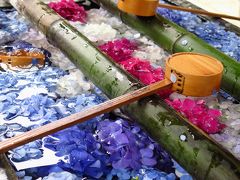 京都・大阪へ フォトコン入賞ご褒美旅行　（１）花手水で話題の楊谷寺に行ってみました