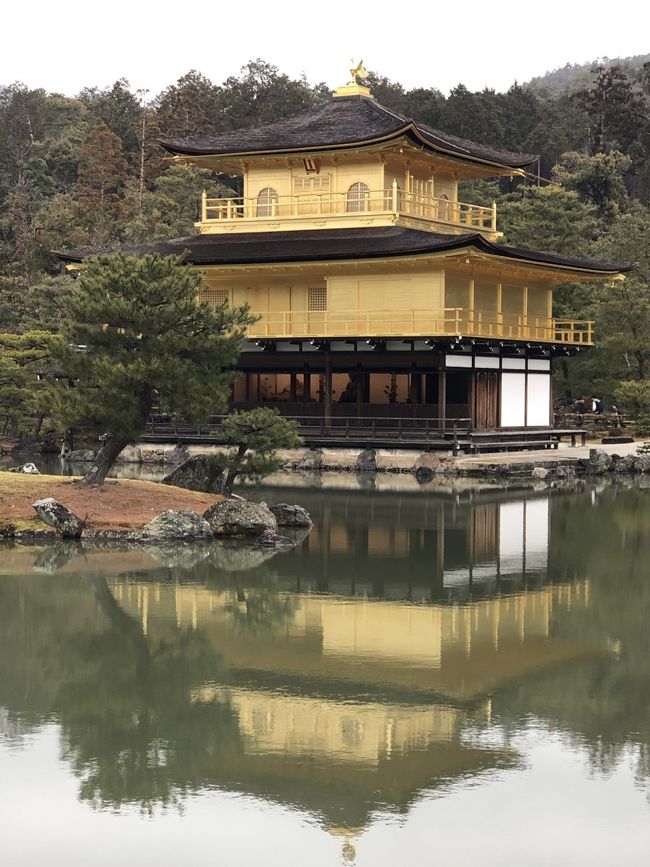 初京都の友達を京都案内して、御朱印巡りをしました