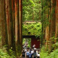 ブララブコー 「パワースポット戸隠神社五社巡りでパワー注入！！」