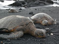 2019年7月まさにスケールの大きなBigIsland、ハワイ島１