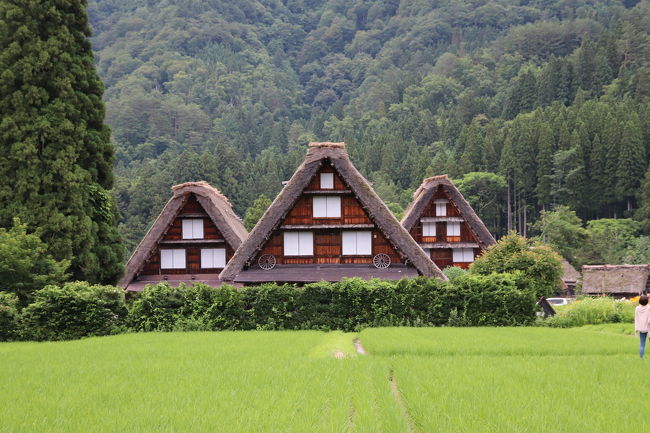 結婚記念日旅行の最終日は、世界遺産巡りダイジェスト版！<br /><br />せっかくこっちまで来たので、富山まで行き合掌造りを回り、白川郷に行きました♪<br /><br />富山県では、重要文化財の村上家・有形民俗文化財の加賀藩流刑小屋・世界遺産の相倉合掌造り集落・世界遺産の菅沼合掌造り集落を見て、岐阜県に戻り世界遺産の白川郷を周りました(´∀｀*)<br /><br />意外にもこじんまりとした菅沼合掌造り集落がとても素敵！<br /><br />今回は時間が余りなかったので、合掌造りの中まで見ることは出来ませんでしたが、次回は合掌造りの建築を見に行きたいと思います(￣∇￣)