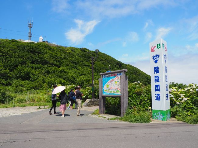 体験坑道の後は青函トンネル記念館を見学し、龍飛岬へ。アジサイをかき分けて龍飛崎展望台から眺望を眺めたあと、灯台、遊歩道、階段国道とあるいていきましょう。龍飛崎でのイチオシスポット、龍飛崎遊歩道も出てきますよ(全部行けていないけど)。<br /><br />2019/10/08投稿