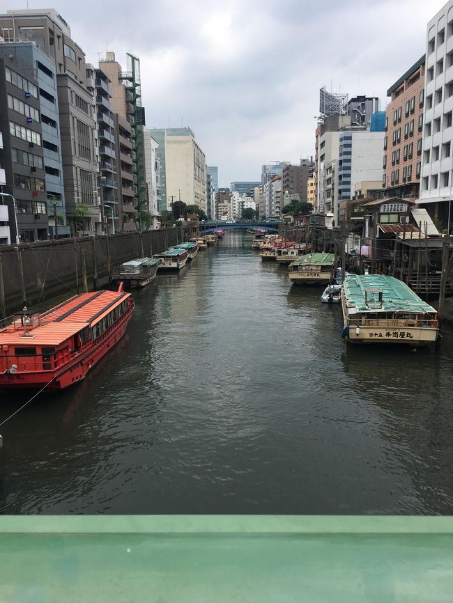 どこかに行きたいよーー<br />と叫びながら結局どこにも行けないで終わりそうな今年の7月(とほほ)<br />今すぐ飛んでいきたいのは、やっぱり香港です。<br />日に日に状況は厳しくなるばかりの香港・・<br />でも、若者たち(もちろんシニアも)はまだ戦っています。<br />SARSの時も、冷静に立ち向かい乗り越えた香港ですが、<br />今、あれよりも出口が見えない、一番の危機かもしれない。。。。(号泣)<br /><br />行けるものならば、今すぐ行きたいと思いながらも実現できず(行っても何もできないけど...)<br />その分は、フォートラ青蛙さん(西環パトロール部員)に託しています。<br />「毎月香港」を実施中の青蛙さんの旅行記タイトルから、<br />「8月号はいつからですの?」という会話が成り立つ今日この頃・・私も、行けないけど、「7月号」を書いてみたいと思います(^^;)<br /><br />ただの日記に近い・・というか、<br />かなり暑苦しく、痛々しい感じになってますがー<br />一応、浅草ほおずき市と、大國魂神社すもも祭りには行ったりしてるので、<br />旅行記、としますっ(笑)<br />ほおずき市と、毎日の勤務先が近いのとで、エリアは浅草にさせてもらいましたー。<br /><br />暑苦しいので、こりゃダメだー、となったら、スルーしてください(;'∀')<br />