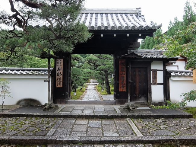 京都洛北の瑞巌山圓光寺へ行って来ました。
