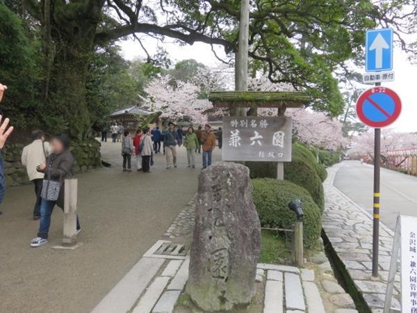 北陸路・飛騨路（２３）桜満開の兼六園