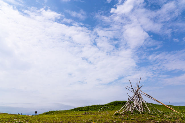 久しぶりの北海道、初夏の道東へ３泊４日の旅。<br /><br />北海道の旅行では、これまでもたいてい道東を訪れていますが、今回は自然の風景など景色のいいところをポイントを絞って、無理しないで巡ろうと思い計画しました。季節的に初夏というのも初めてです。これまでは真夏か秋でした。<br /><br />４日目、最終日はサロマ湖のワッカ原生花園を自転車でじっくり巡り、最後にオホーツク沿いの駅舎内の食堂で食事し帰途につきました。